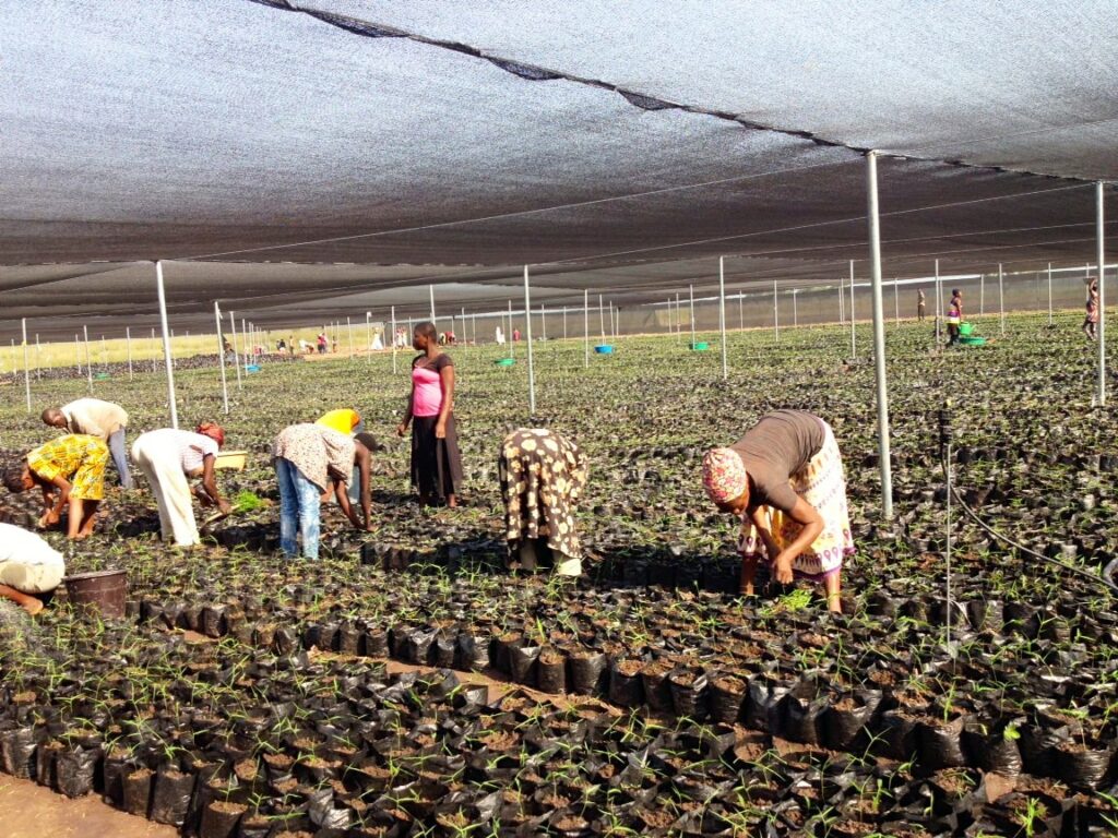 Bamboo Warehousing